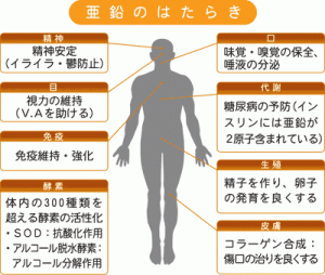 亜鉛