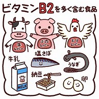 ビタミンBを多く含む食品