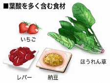 葉酸を多く含む食品の写真