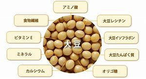 大豆の画像
