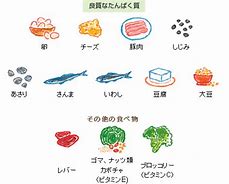 良質なたんぱく質