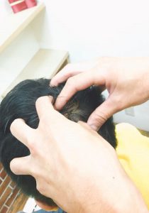 こりをほぐします