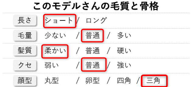 モデルさんの毛質と骨格の表