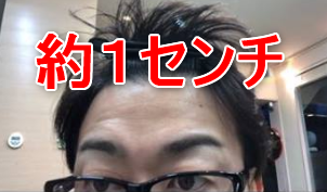 約1センチの長さのまゆ毛の画像