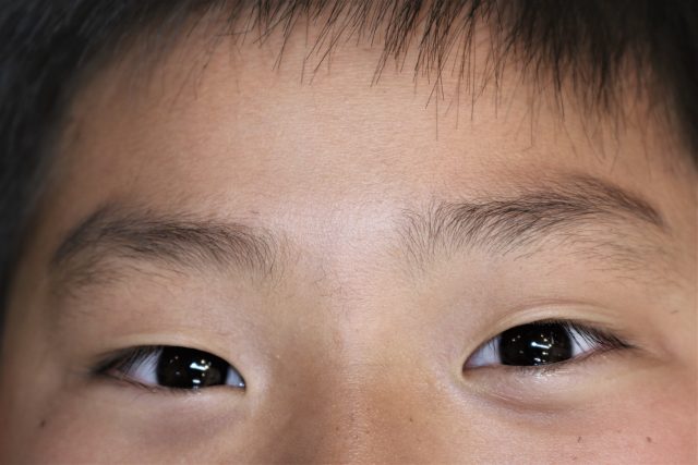 子供のまゆ毛の画像