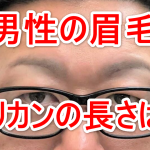 男性のまゆ毛の画像